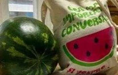 The Watermelon Summer Hit